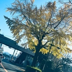 散歩 − 東京都