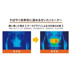 【新品】USBヒーター内蔵 かわいい腰当て ふわポカ ハグにゃん ピンク又はグレーの画像