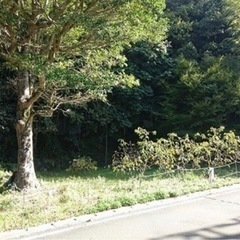 目の前が海の土地100坪　愛媛県西予市三瓶町