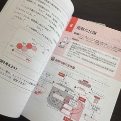 書いて覚える 管理栄養士 国家試験対策ワークブック【かんすた】の画像