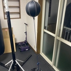 サンドバッグ ボクシング🥊の画像