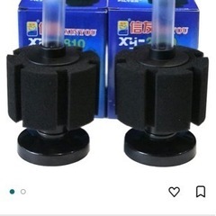 スポンジフィルター　1個売りの画像