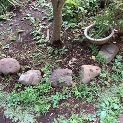 ゴロタ石差し上げます