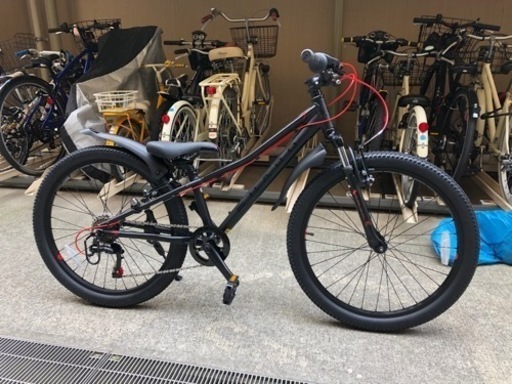 HARO FLIGHTLINE 24 子供向けマウンテンバイク