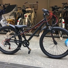 HARO FLIGHTLINE 24 子供向けマウンテンバイク