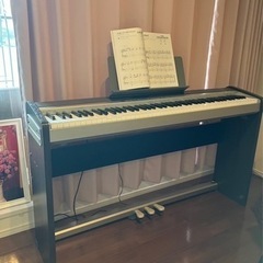 Casio px-120     08製　差し上げます