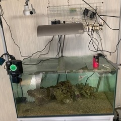 水槽セット
