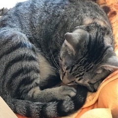お話聞いています。
