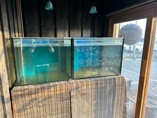 【巨大】水槽2個セット