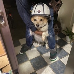 型枠大工