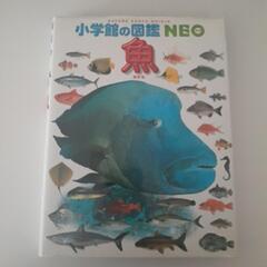 図鑑　魚