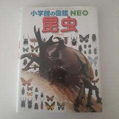 図鑑　昆虫