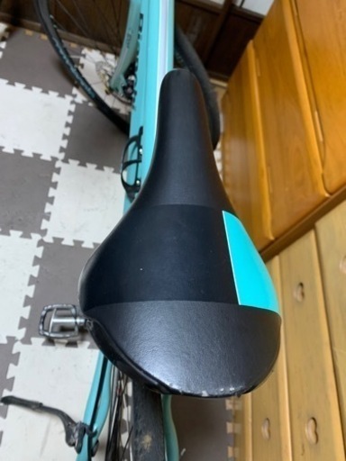 BIANCHI 希少　カメオンテ3