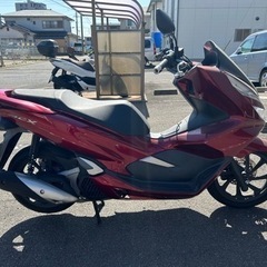 PCX 125cc バイク JF81 2018年式 中古の画像
