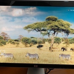 22インチディスプレイ　hpの画像