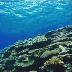 GoProHERO4  名護市の画像