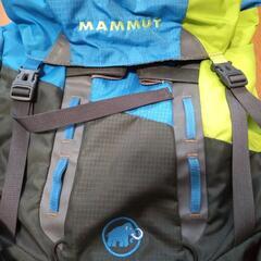 マムート　トリオン　タラナキ30の画像