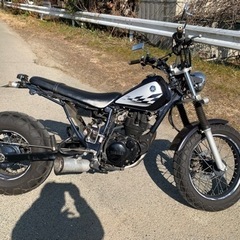 YAMAHA TWに乗っている方