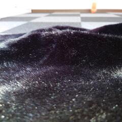 美品!EMODA♡♡ ﾌｪｲｸﾌｧｰｺｰﾄ❤の画像