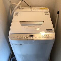 【0円 ※10日夜または12日夜または19日中のみ】洗濯機
