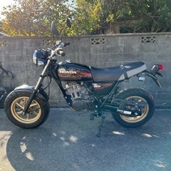 値下げ！エイプ100 タイプD これからの季節！ツーリングに！原付　バイク　の画像