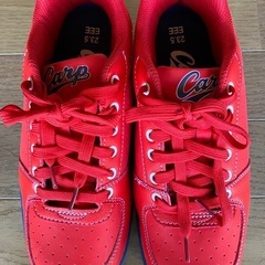 Ｃarp×Ｎosacks 安全スニーカーの画像