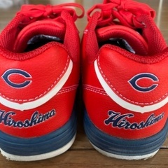 Ｃarp×Ｎosacks 安全スニーカーの画像