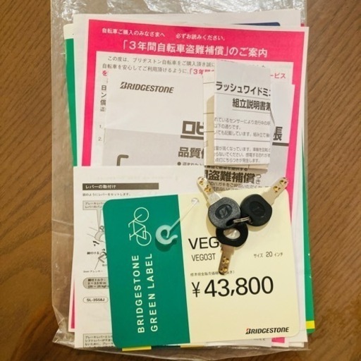 【受け渡し者決定しました】ブリヂストン グリーンレーベル ベガス　20インチ