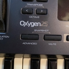 【4/30午前11時迄】M-AUDIO OXygen25の画像