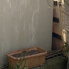 使ってない植木鉢　小〜大