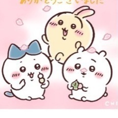 未開封の画像