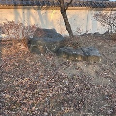 庭石 差し上げますの画像