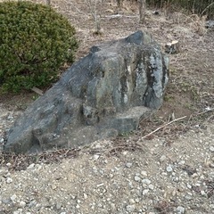 庭石 差し上げます