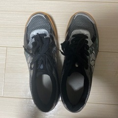 体育館シューズ　卓球　バタフライ