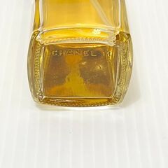シャネル　CHANEL　N°19 オードトワレ 100ml　香水の画像