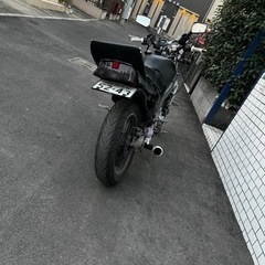 ZZR250 の画像