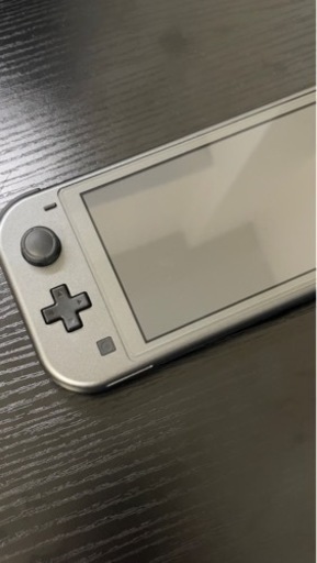 Switch Lite ディアルガ・パルキア(箱・ケース付き)