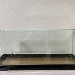 ガラス水槽の画像