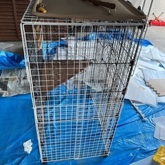 バードゲージ　鳥　インコ　猫　無料