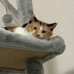 人懐っこい2匹