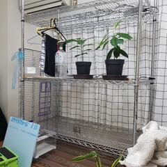メタルラック幅120×奥行61×高さ179　5段