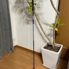 ゴルフドライバー　プロギア　RS  E  9.5°  SR 1W