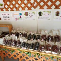 🍇ぶどう園での農作業です🍇スキマ時間に農作業を楽しみましょう🎵の画像