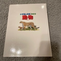 夏休み限定お値下げ！小学館の図鑑NEO 動物の画像