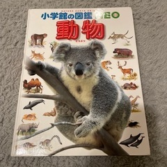 小学館の図鑑NEO 動物