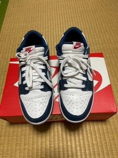 Nike Dunk Low 
