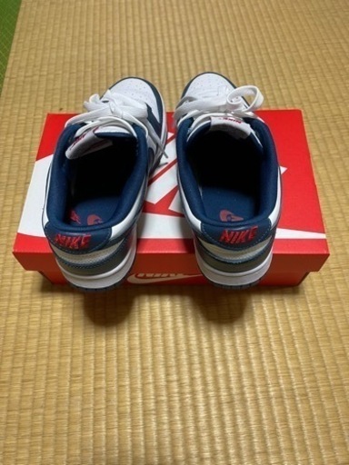 Nike Dunk Low 