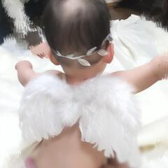 天使の羽の画像