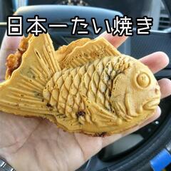 【紹介】日本一たい焼き