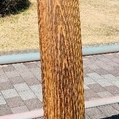 琴　お琴　日本の楽器　の画像